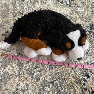 Sleeping Bernese mountain dog